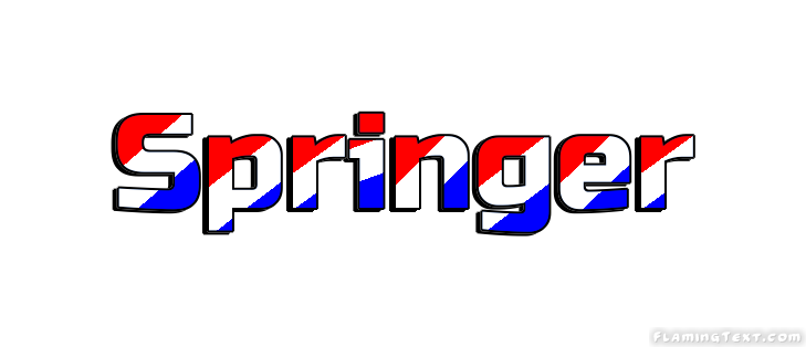 Springer مدينة