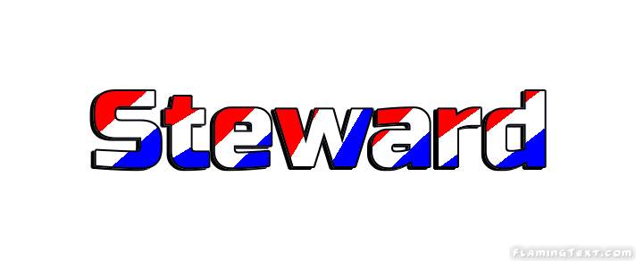 Steward 市