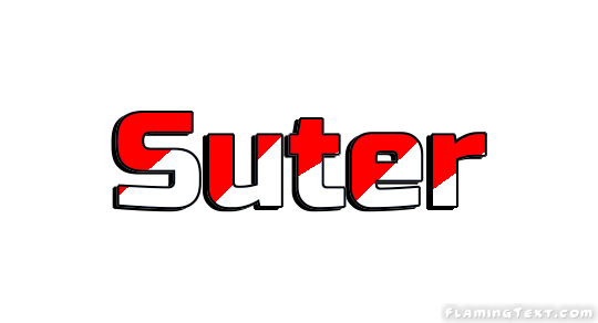 Suter City