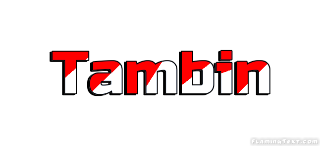 Tambin City