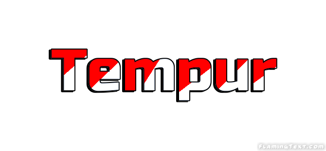 Tempur город