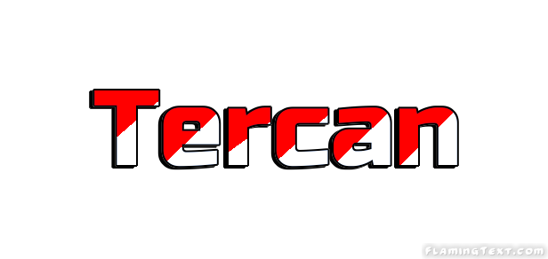 Tercan City