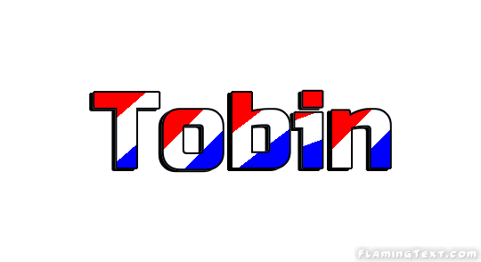 Tobin City