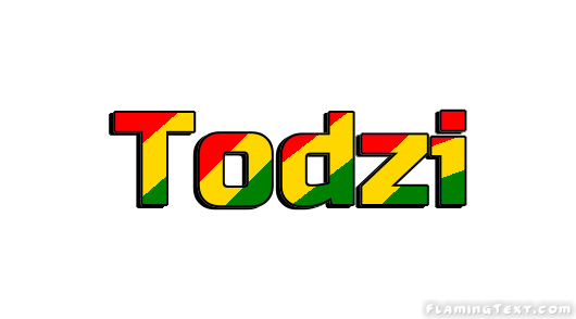 Todzi город