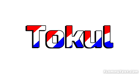 Tokul City