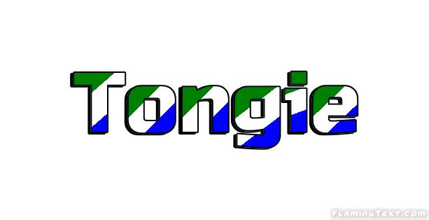 Tongie город
