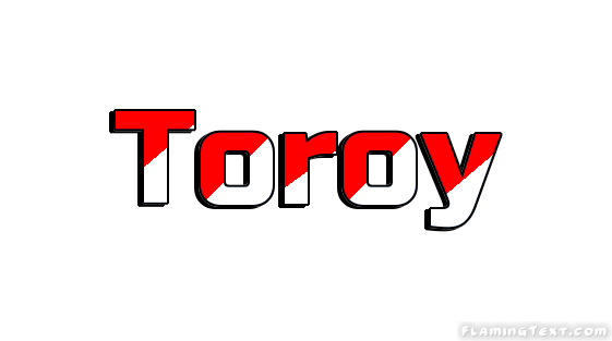 Toroy 市