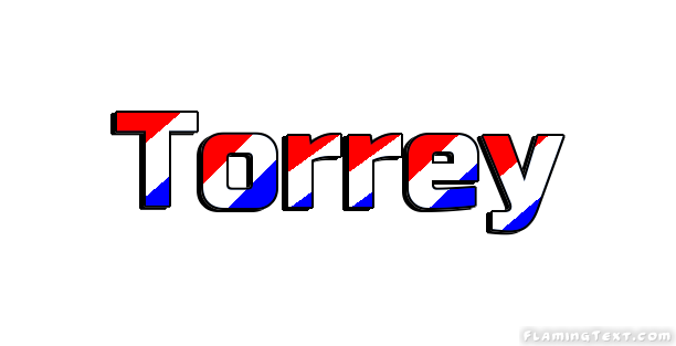 Torrey City
