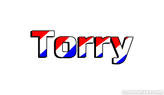 Torry 市