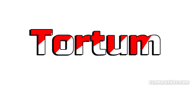 Tortum City