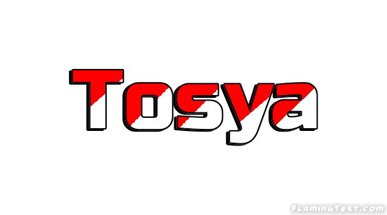 Tosya город