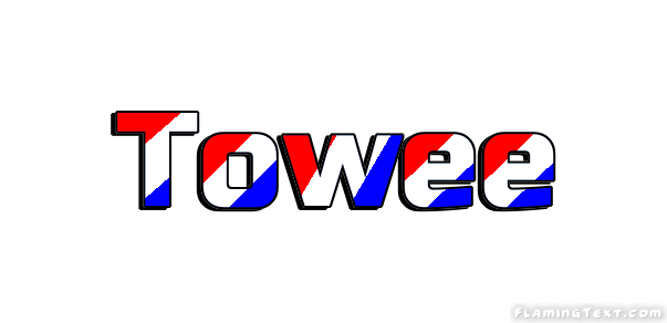 Towee город