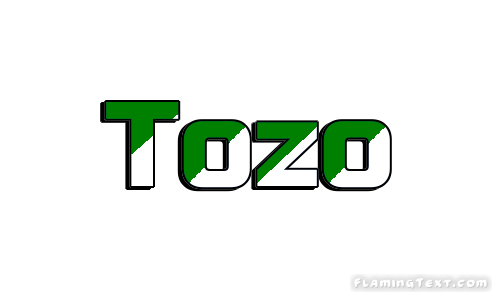 Tozo 市