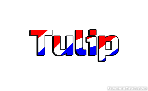 Tulip City