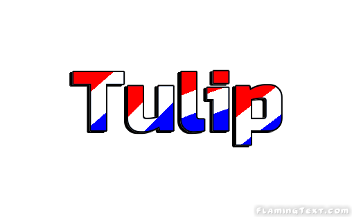 Tulip Ville