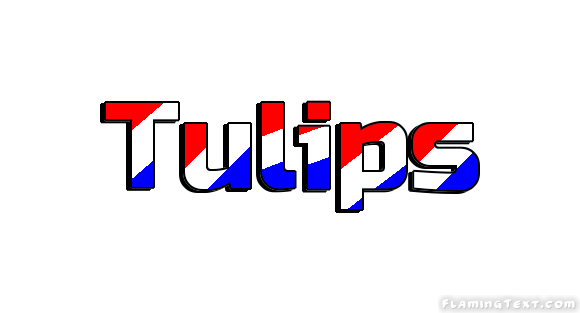 Tulips Ville