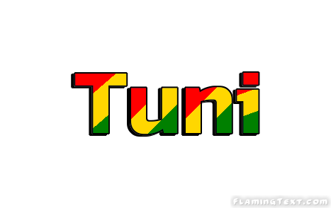 Tuni 市