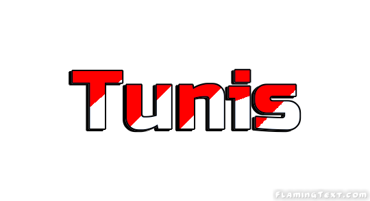 Tunis 市