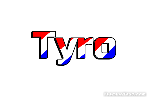 Tyro 市