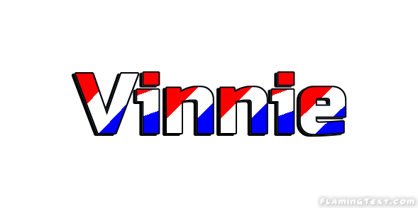Vinnie City