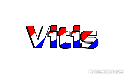 Vitis 市