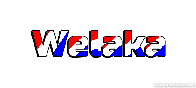 Welaka Stadt