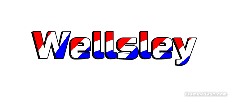 Wellsley Ville