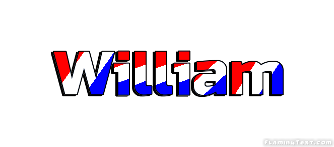 William Ville