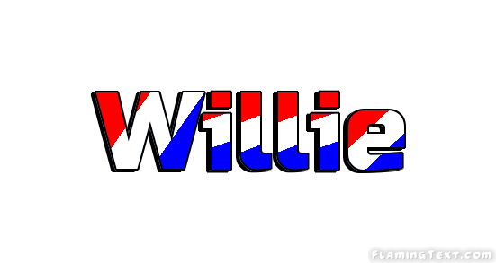 Willie город