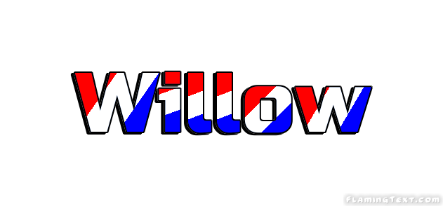 Willow مدينة