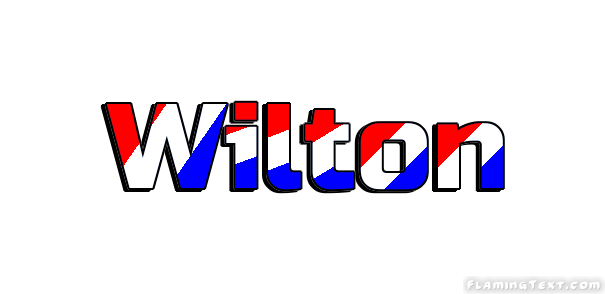 Wilton مدينة