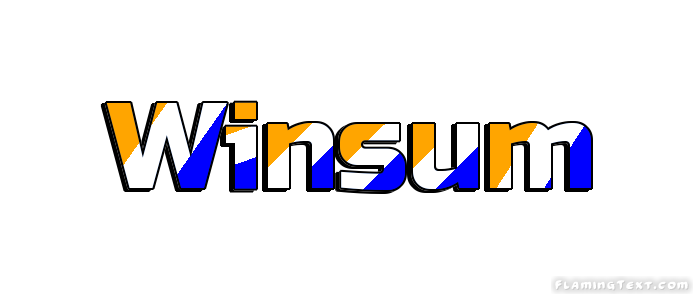 Winsum Ville