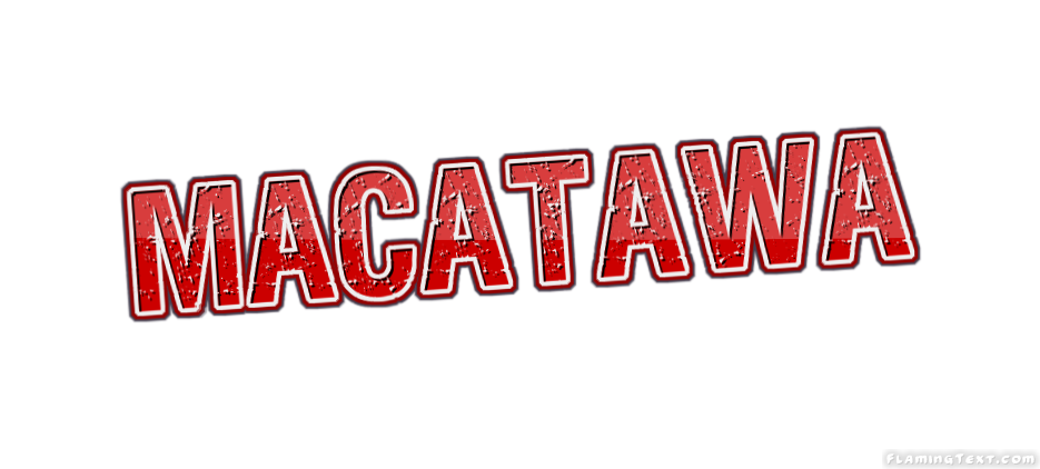 Macatawa Stadt