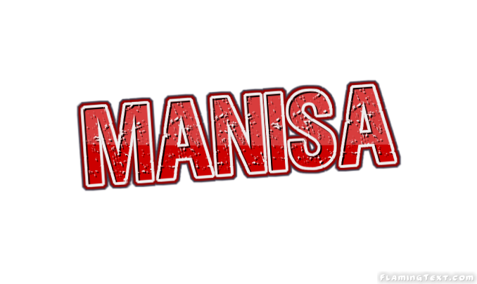 Manisa City