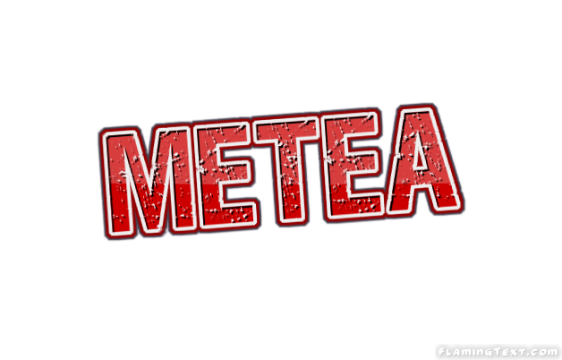 Metea City