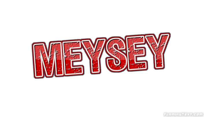 Meysey City