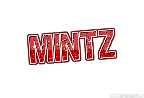 Mintz Cidade