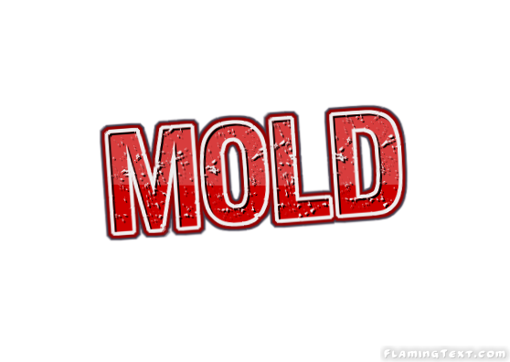 Mold Ville