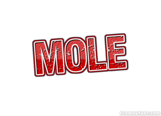 Mole City
