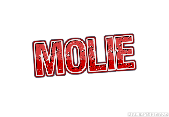 Molie City