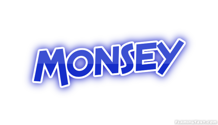 Monsey City