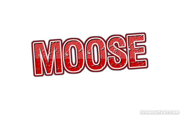 Moose مدينة