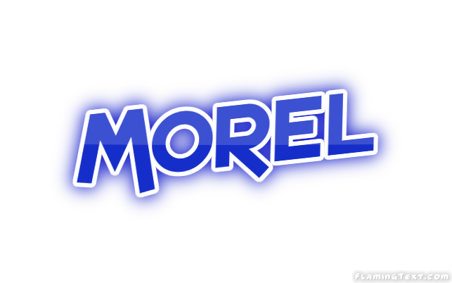 Morel City