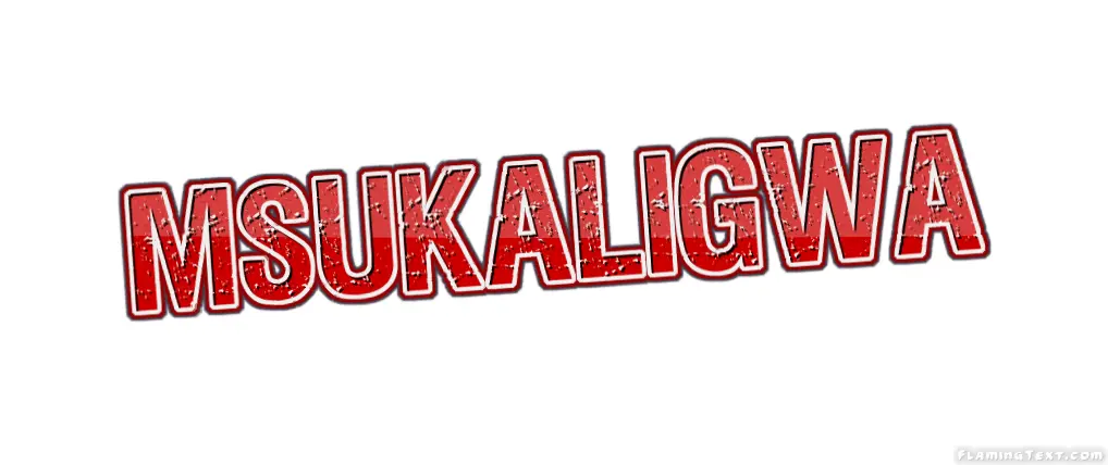 Msukaligwa 市