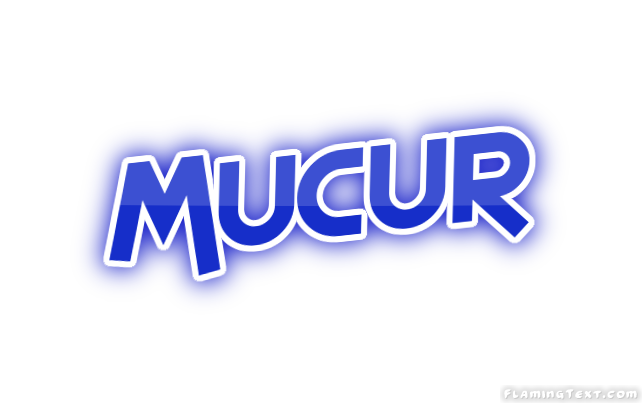 Mucur City