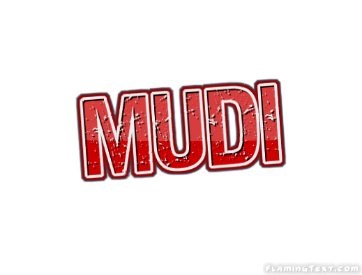 Mudi 市