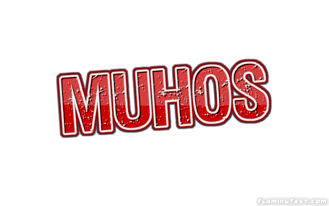 Muhos город