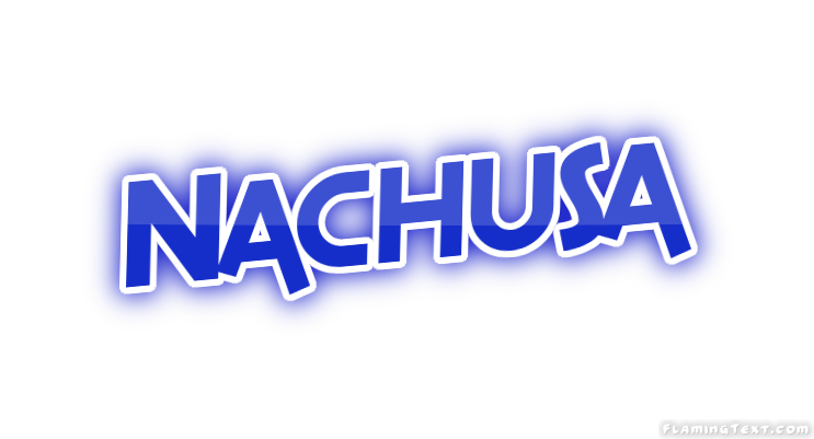 Nachusa City