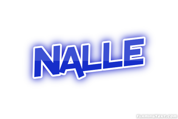 Nalle Ville