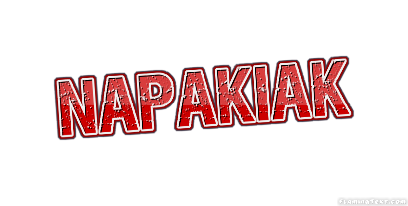 Napakiak город